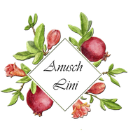 Logo Anusch Lini