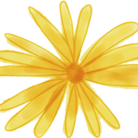 Logo Madia – Gemeinschaft, Café und Familienwohnzimmer