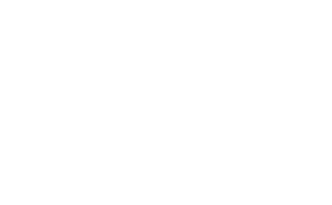 Logo PALLADION Hannover