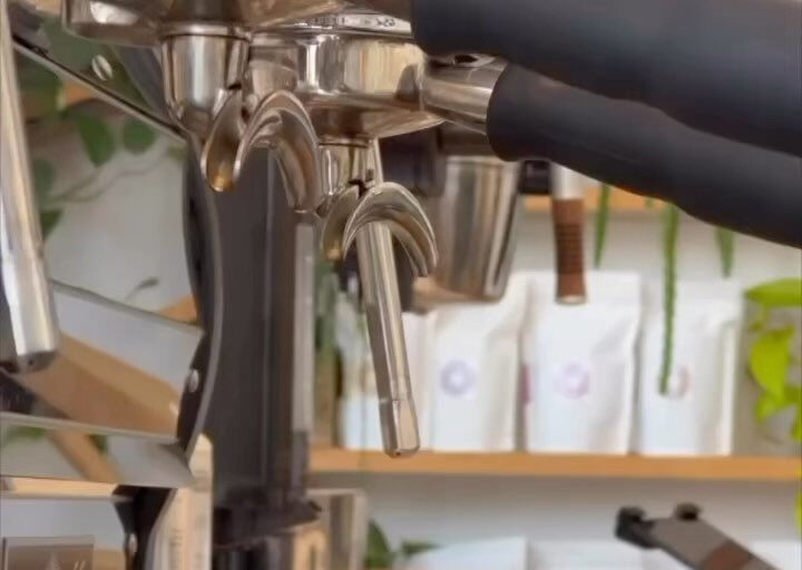 Restaurant Gutschein Planten Coffee Hamburg