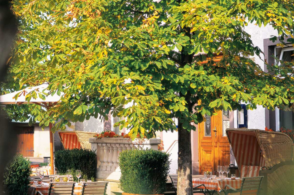 Restaurant Gutschein Tomatissimo Bielefeld