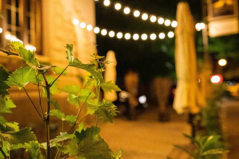 Restaurant Gutschein für Amsel und Meise