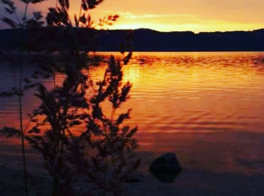 Restaurant Gutschein Stadtstrand Torgau