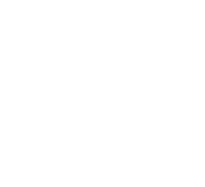 Logo Circus Maximus