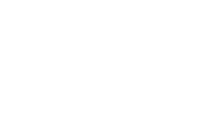Logo The Lonely Broccoli