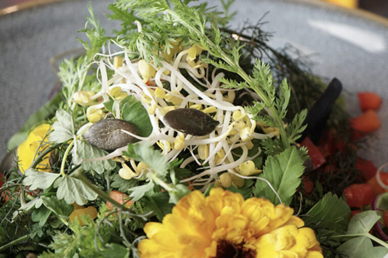 Restaurant Gutschein für V-Bandits