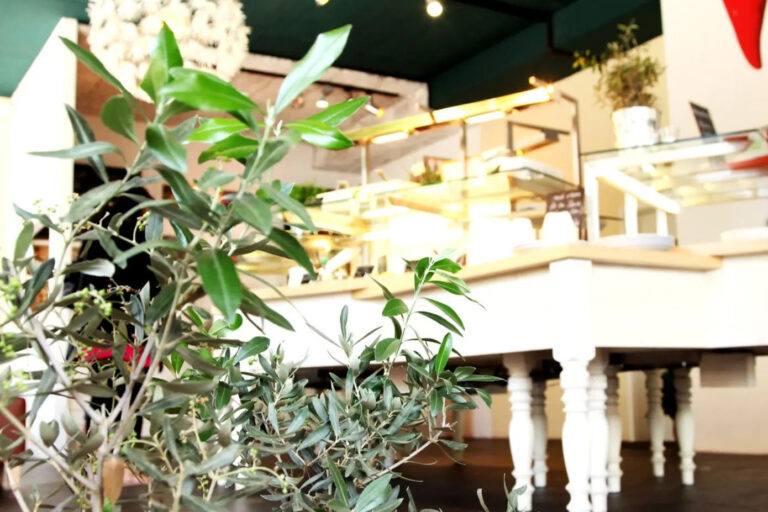 Restaurant Gutschein red – die grüne Küche Heidelberg