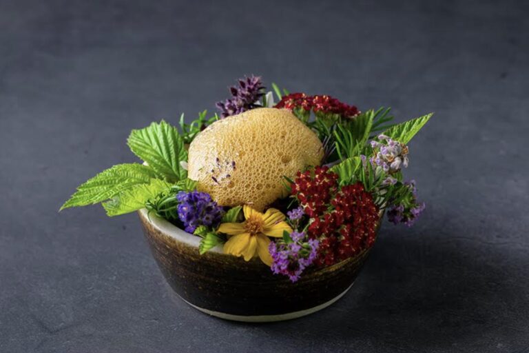 Restaurant Gutschein Gut Lärchenhof Pulheim