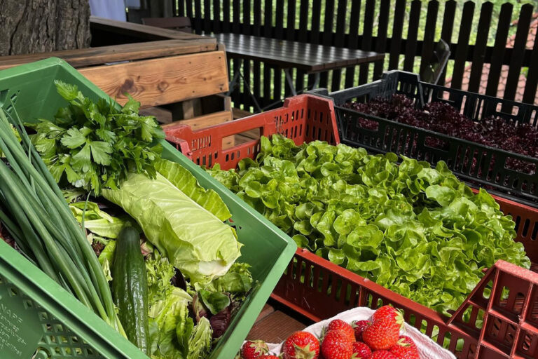 Restaurant Gutschein Harmonie Lichtenberg