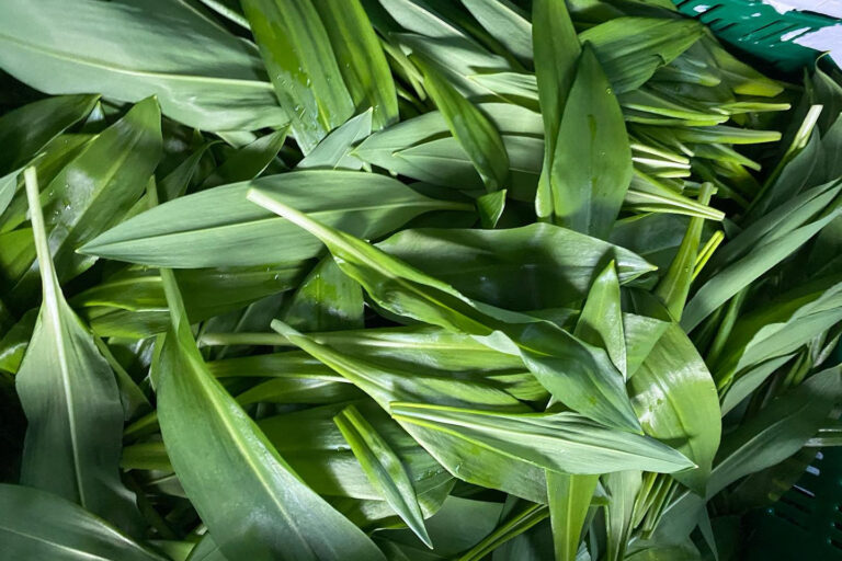Restaurant Gutschein für Hirzwald Naturgasthof Ölmühle