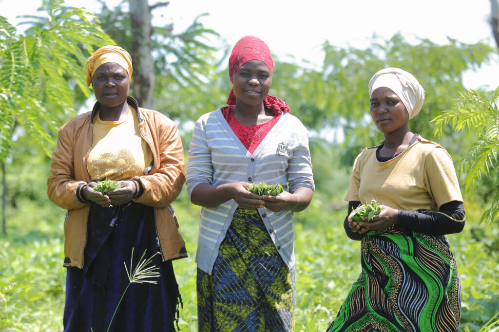 Die Projektarbeit der Welthungerhilfe in Malawi