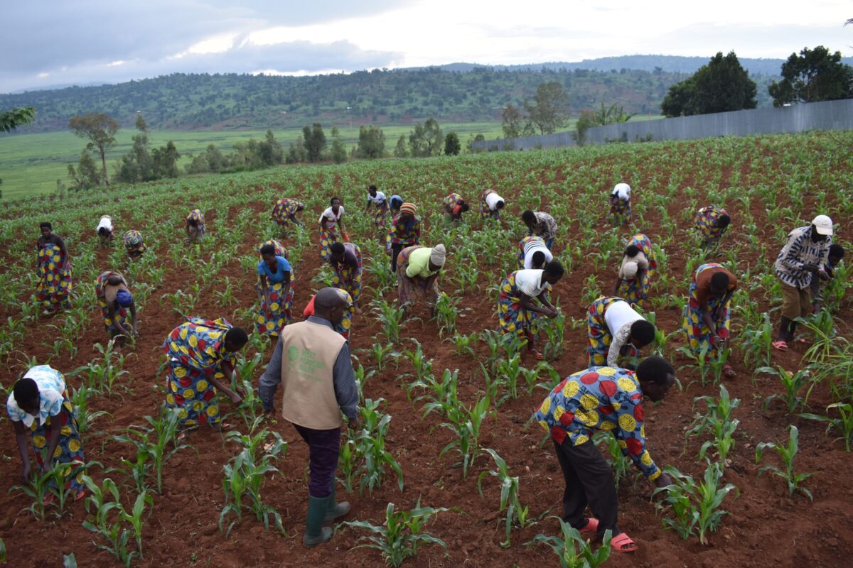 Restaurant Geschenk Gutschein Home