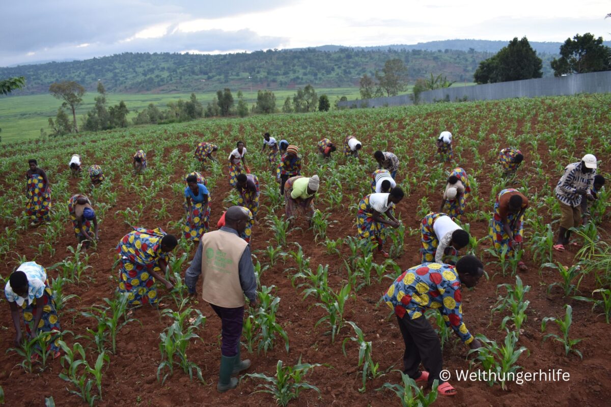 Restaurant Geschenk Gutschein Unser Engagement Burundi